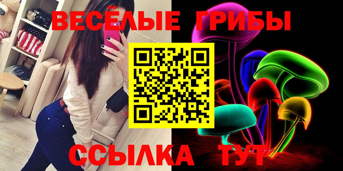 Псилоцибиновые грибы ЛСД  Вход с VPN  Галлюциногенные грибы Psilocybe  купить закладку  Вышний Волочёк 